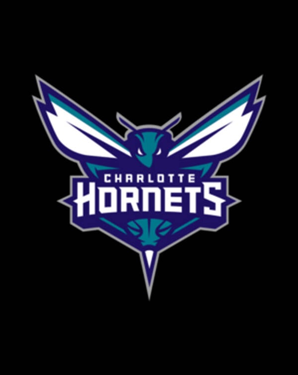 🐝 Charlotte Hornets watch face