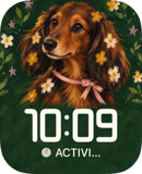 Daisy Spaniel watch face preview image for Apple Watch