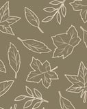 Minimalist watch face featuring delicate white outlines of leaves on a muted olive-green background
