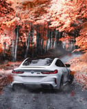 White BMW M8 driving through a forest road surrounded by autumn foliage, featured on a watch face