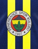 Fenerbahçe Sports Club emblem with a leaf and bold yellow and navy blue stripes, featured on a watch face