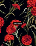 Carnation Noir watch face preview for Apple Watch
