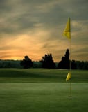 Putting green with a yellow flag at sunset, surrounded by trees and open skies, displayed on a watch face.