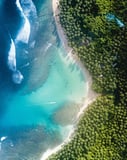 Aerial view of a tropical beach with turquoise waters, golden sand, and green palm trees, designed for a watch face.