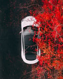 Tesla Model 3 watch face with a top-down view of a white Tesla surrounded by vibrant red autumn leaves