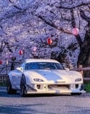 Photograph of a white JDM sports car parked under cherry blossom trees with red and white lanterns, blending Japanese culture with car aesthetics, featured on a watch face.