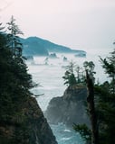 Photograph of a rugged coastline with misty ocean waves, dramatic cliffs, and lush evergreen trees, creating a tranquil and scenic landscape, featured on a watch face.