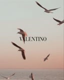 Aesthetic photograph of seagulls flying over a calm ocean during sunset, with soft pastel hues and Valentino typography, featured on a watch face.