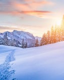 Snow-covered mountains and trees bathed in a golden sunrise, designed as a serene winter watch face